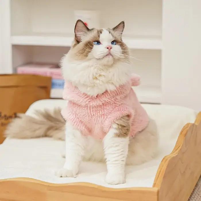 Gilet à capuche pour chat mignon
