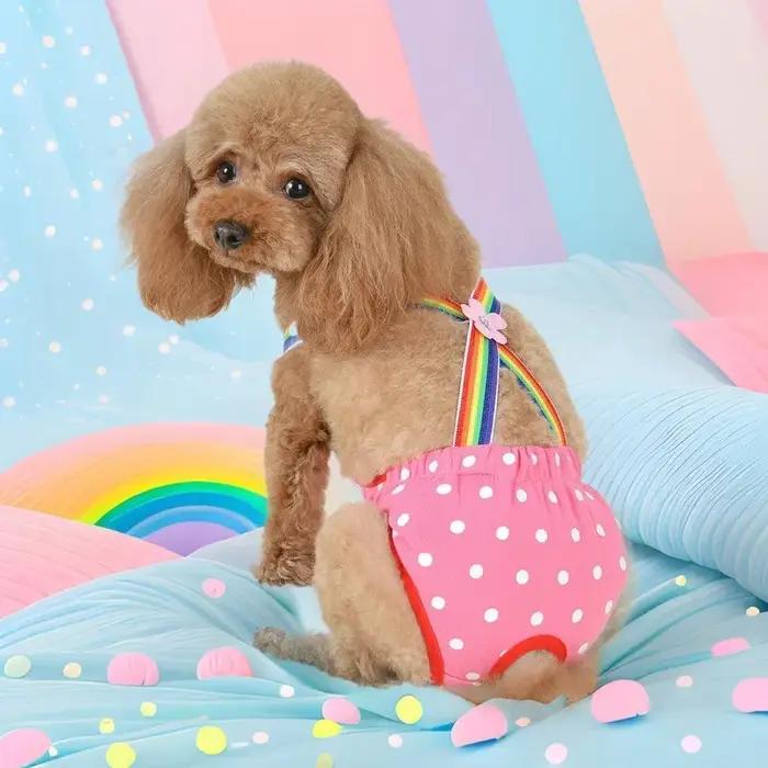 Culottes hygiéniques respirantes pour chien femelle