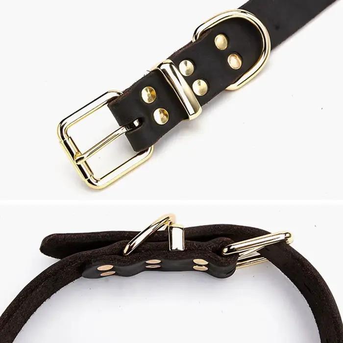 Collier pour chien robuste et classique