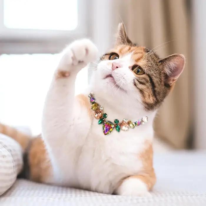 Collier de luxe en pierres précieuses pour chien et chat