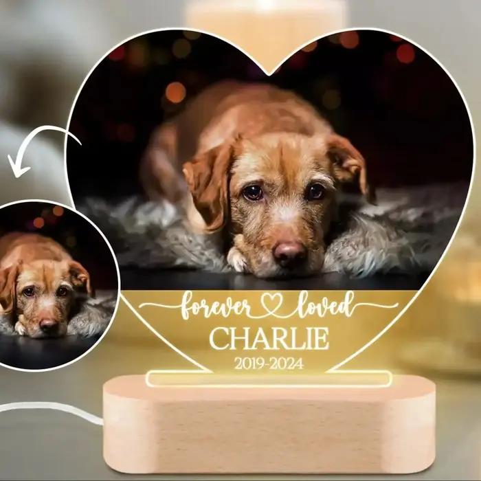 Lampe de nuit personnalisée avec photo de chien