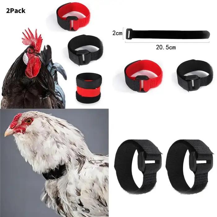 Collier de coq anti-bruit jetable