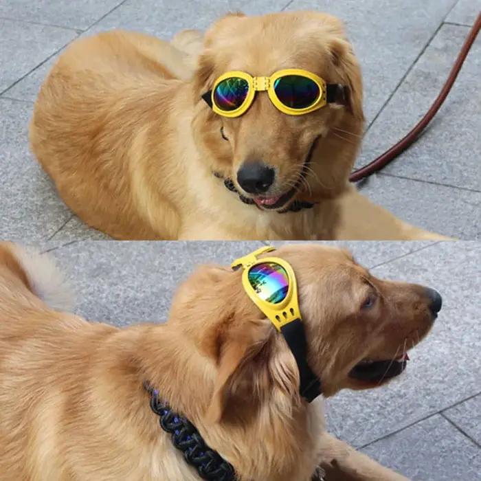 Lunettes de soleil pliables pour animaux de compagnie