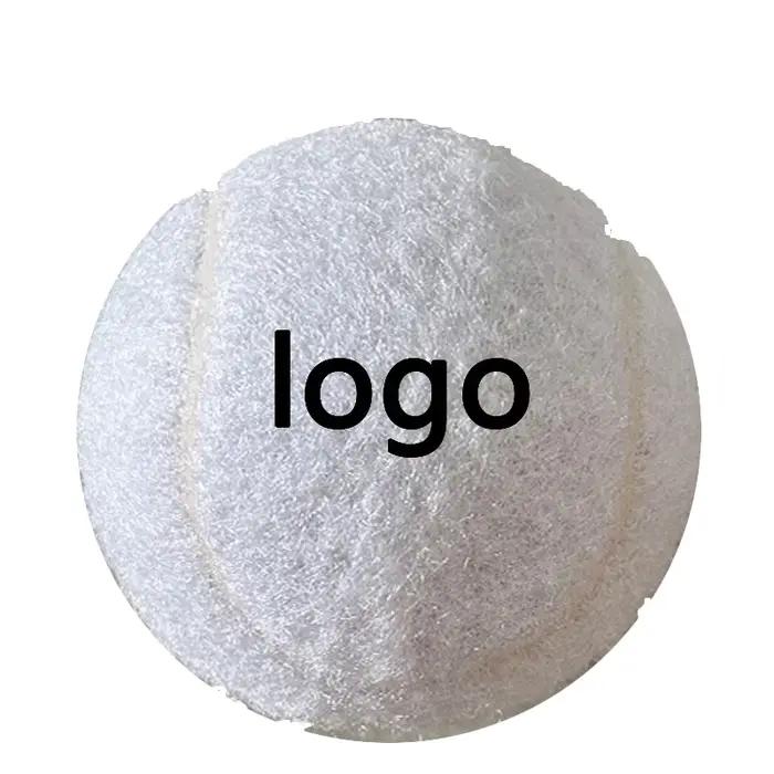 Logo imprimé personnalisé pour chien, cadeau d'anniversaire, jouet pour animaux de compagnie, marche