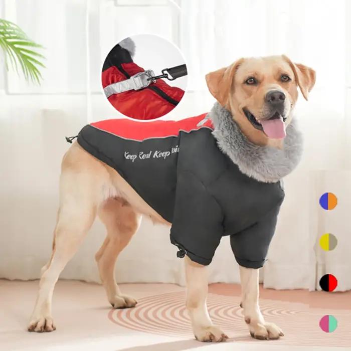Veste d'hiver pour chien avec grand col en fourrure