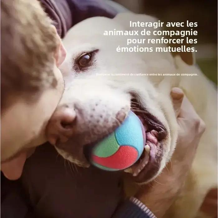 Jouets pour chiens, balles rebondissantes