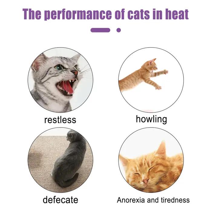 Spray Apaisant pour Chat et Chien – Soulagement de l'Anxiété et de la Stimulation Physiologique – Soutien Relaxant pour le Stress des Animaux – Complément Naturel à base de Poria – 50ml