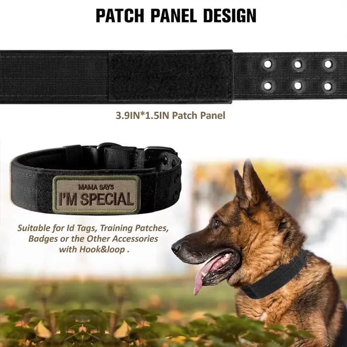 Collier tactique pour chien