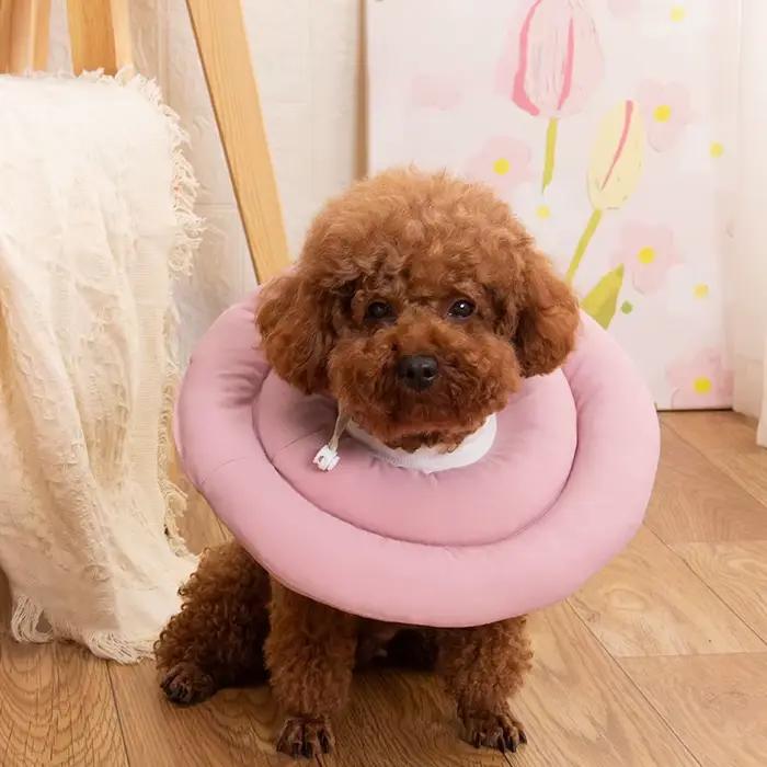 Collier Élisabéthain pour Chien Coton Résistant à l'Eau en Forme de Beignet Pour Toutes les Saisons Occasions Spéciales
