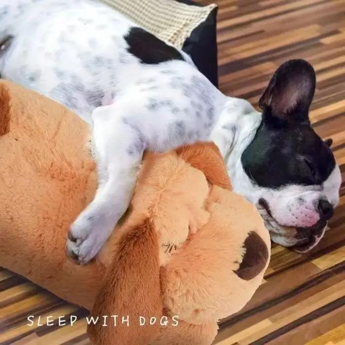 Jouet en peluche douce avec battement de cœur pour chien, réconfort et soulagement de l'anxiété, cadeau idéal pour anniversaire et occasions spéciales