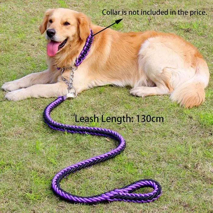 Laisse en nylon pour chiens de taille moyenne et grande