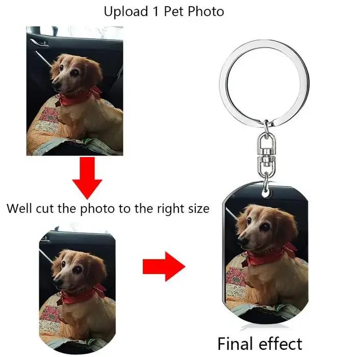 Étiquette de chien gravée gratuitement