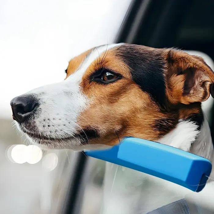 Coussin de fenêtre de voiture en mousse pour chien