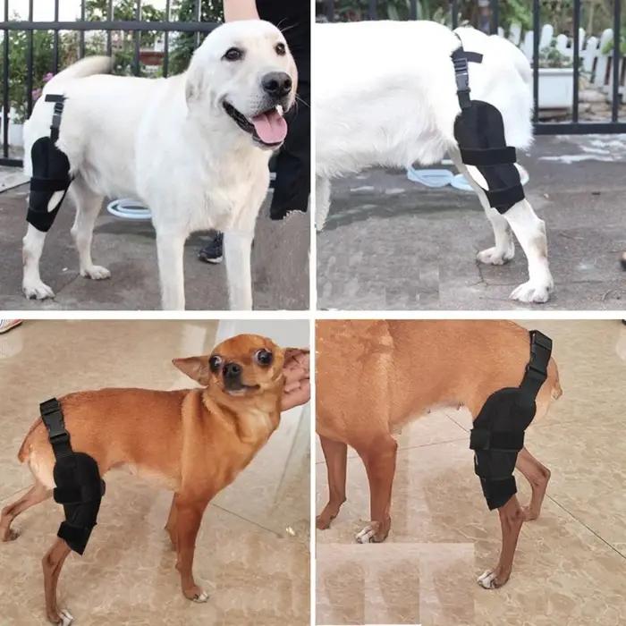 Genouillère de soutien pour chien