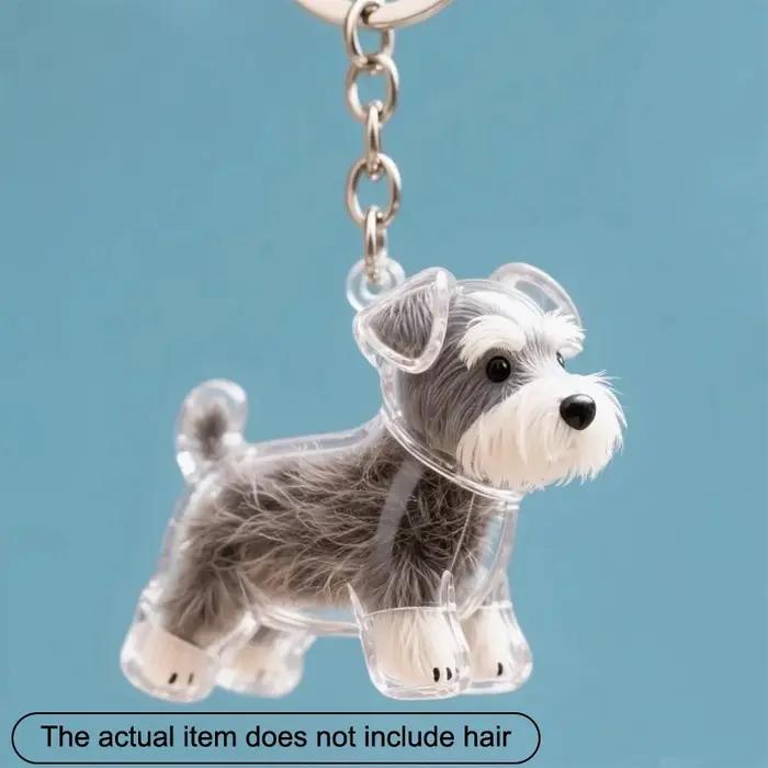 Cadeau d'affichage de souvenir de capsule de mémoire de cheveux de chien pour les amateurs d'animaux