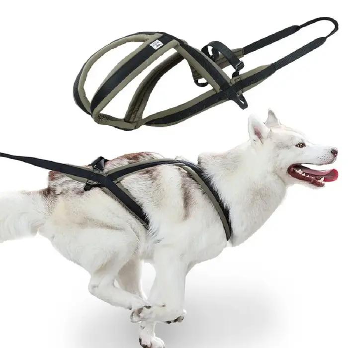 Ensemble de harnais et de laisse pour chien d'extérieur, pour chiens de taille moyenne et grande, ad