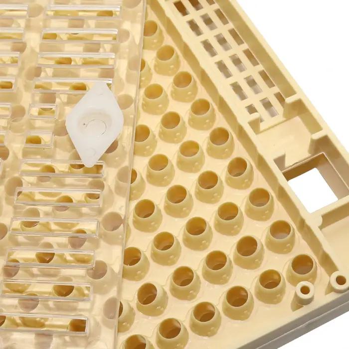 Boîte d'élevage équation Queen avec 120 pièces, cellule brune, équipement d'élevage pour apiculteur, équipement d'élevage, fournitures d'apiculture de jardin à l'extérieur