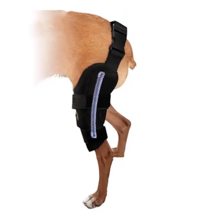 Genouillère de soutien pour chien, Cruciate, inflamation, douleur, soulage le Ligament des jambes, s
