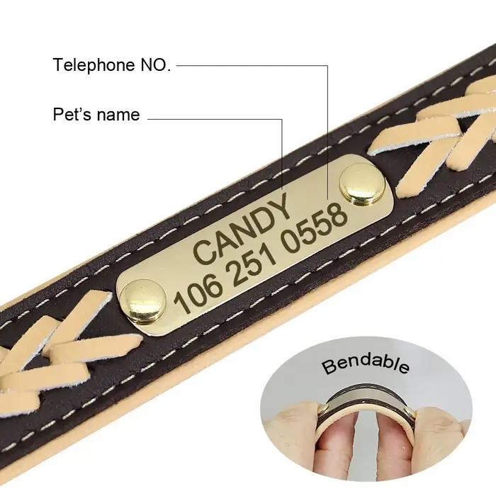 Collier de chien personnalisé avec étiquette gravée