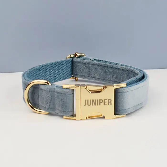 Laisse et collier de luxe pour chien