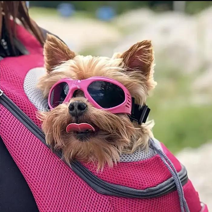 Lunettes de soleil réfléchissantes pour petits chiens et chats