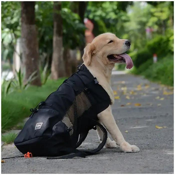 Sac à dos de voyage pour chien, accessoire de randonnée pour animal de compagnie, Ventilation extéri