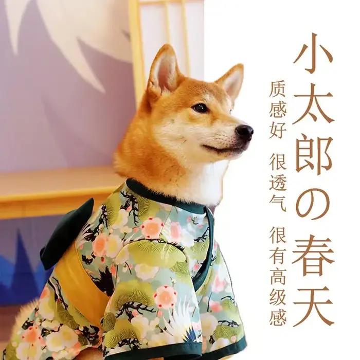 Adorable robe Kimono en brocart pour animaux de compagnie