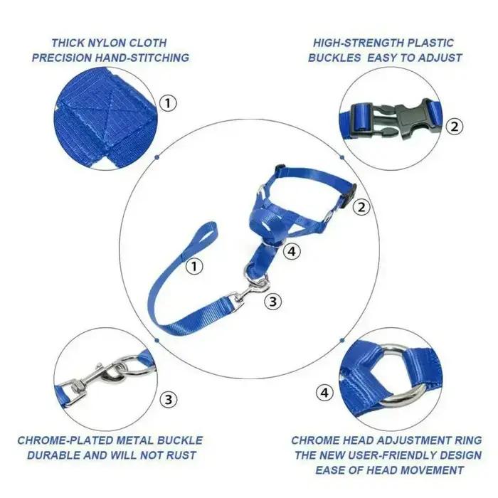 Harnais de dressage créatif pour chien