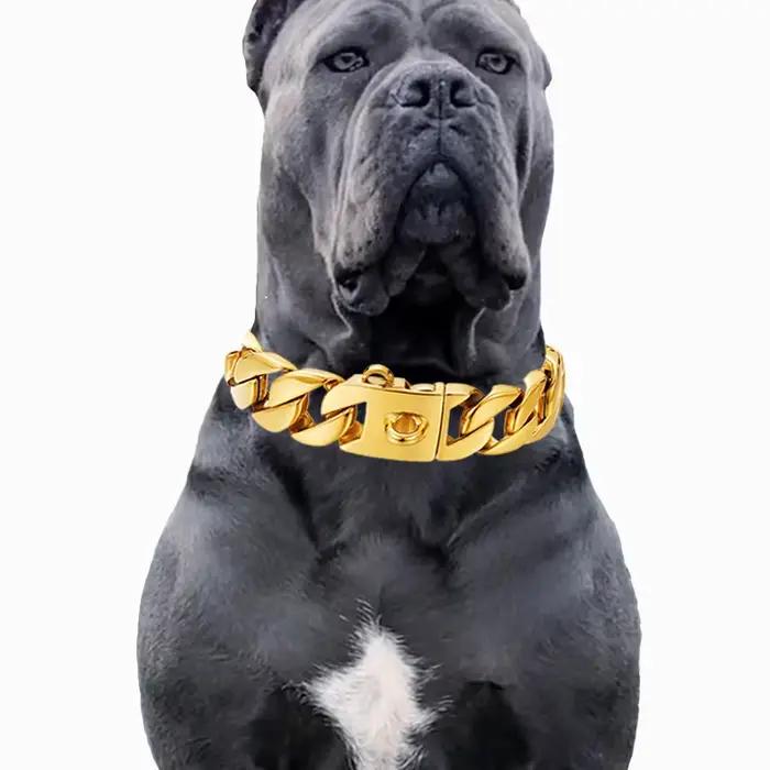 Collier en acier inoxydable doré ou argenté pour chiens grandes races occasions spéciales promenades compétitions canines cadeau anniversaire