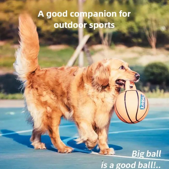 Grand chien résistant aux morsures balle Golden Retriever Labrador Alaska jouets pour animaux de compagnie