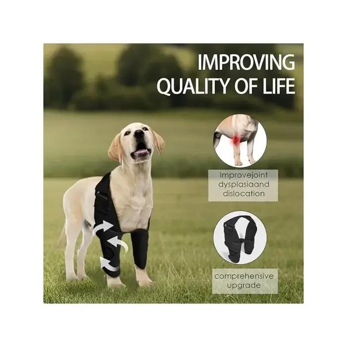 Attelle de protection complète pour coude de chien