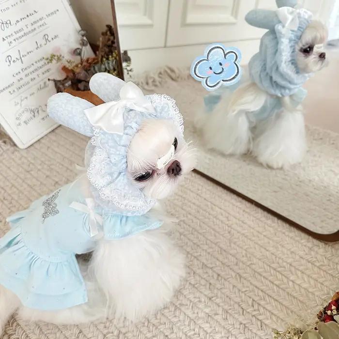 Accessoires pour chiens : Bandeau anti-salissure pour petits chiens
