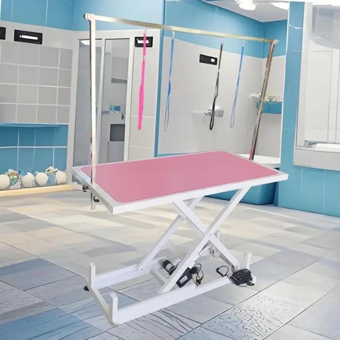 Efficacité de toilettage ultime : table
