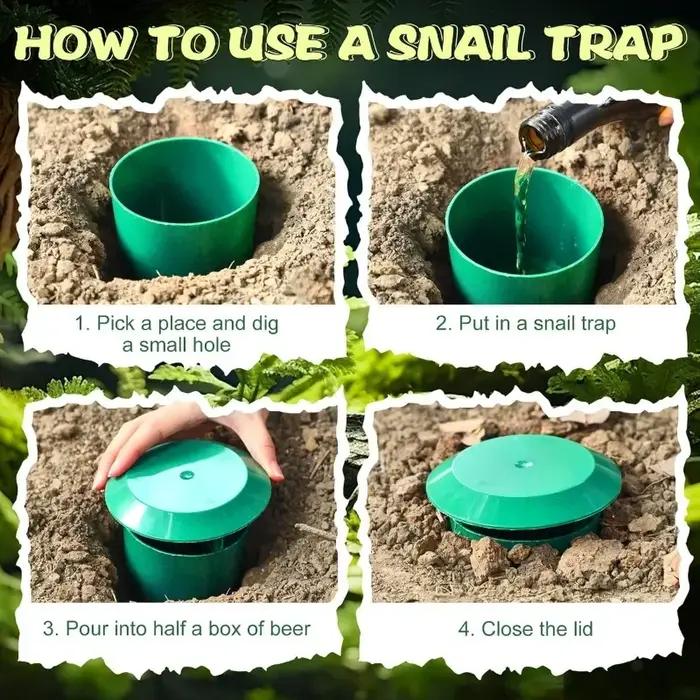 Piège à escargots, Cage à limaces de jardin réutilisable