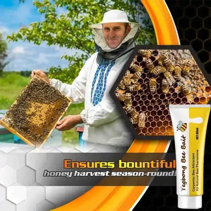 Appât pour abeilles, piège à miel pour l'apiculture