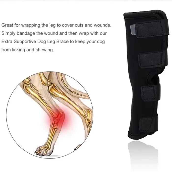 Genouillères de protection de coude pour chien
