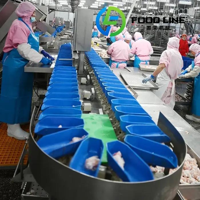 Équipement d'abattage de volaille de haute qualité 300-1000 ligne de production réglable pour poulets, canards et oies