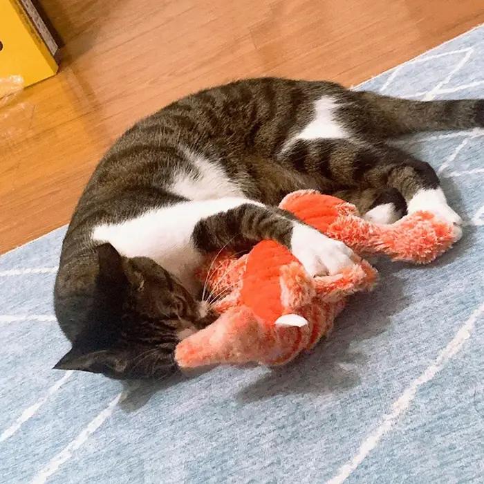 Jouet en Peluche Interactif pour Animal de Compagnie