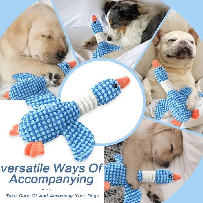 Jouets en peluche canard drôle pour chien
