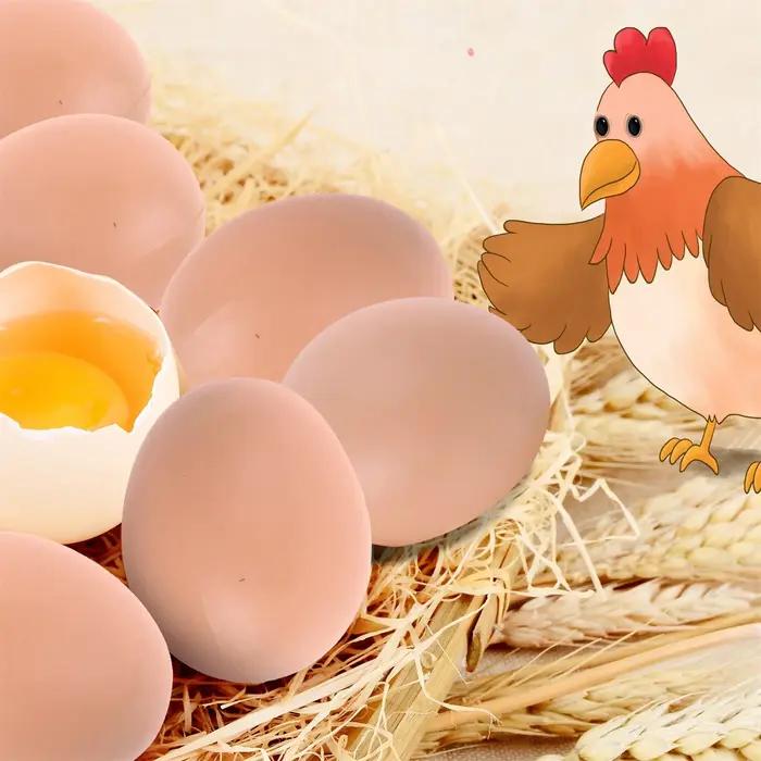 24-6 pièces faux oeufs de poule volaille couche poulailler à couver Simulation Graffiti