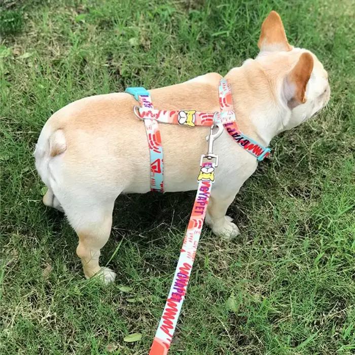Ensemble de harnais et laisse pour petits chiots en nylon personnalisable pour promenades en toute saison pour chiot occasions spéciales