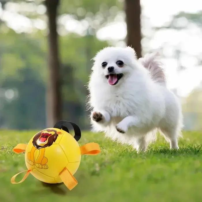 Jouets de Football pour chien, balles durables, Puzzle IQ, jouets pour chiot, petits et grands dents de chien, jouets interactifs de Football pour animaux de compagnie