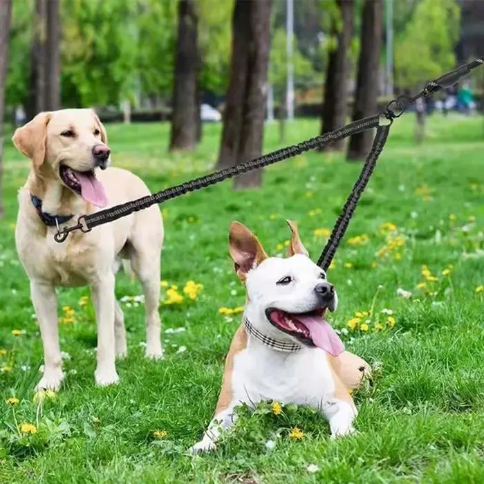 Nouvelle laisse de traction double pour animaux de compagnie