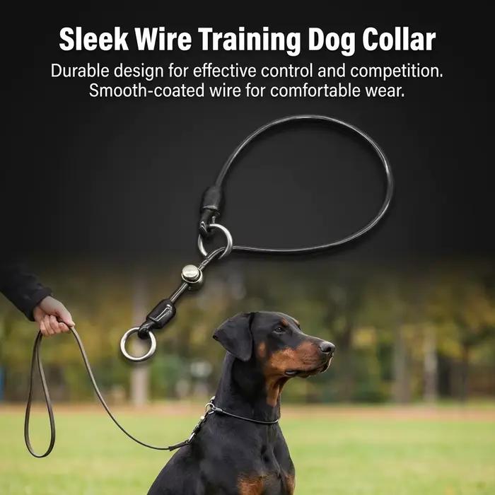 Collier pour chien en fil d'acier recouvert de corde P