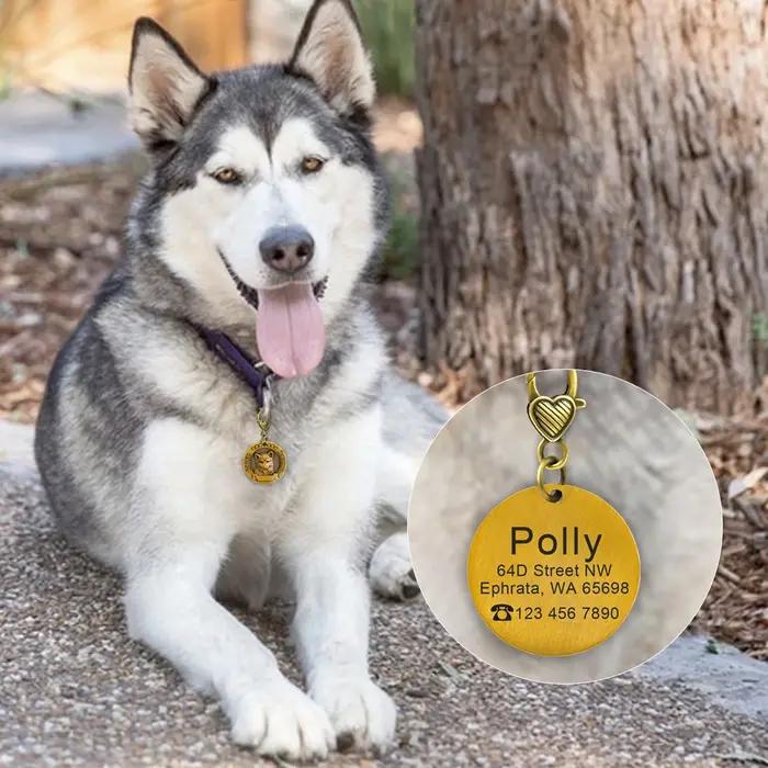 Étiquette d'identification de chien personnalisée