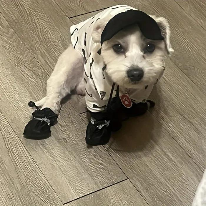 Chaussures imperméables pour petits chiens résistantes à l'eau bottes de pluie extérieures en unité centrale semelle en caoutchouc pour chiens occassions spéciales promenades hiver forêt mouillé