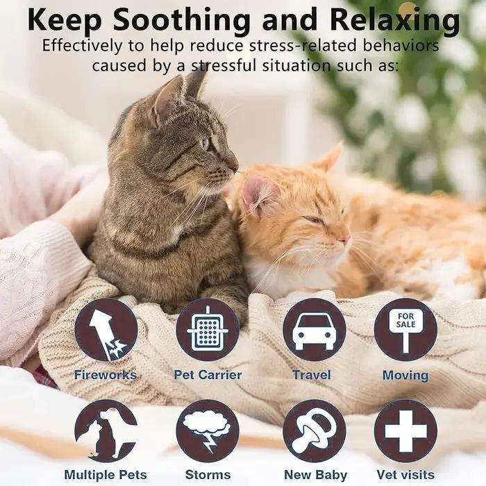 Collier apaisant efficace et sûr pour chats et chiens