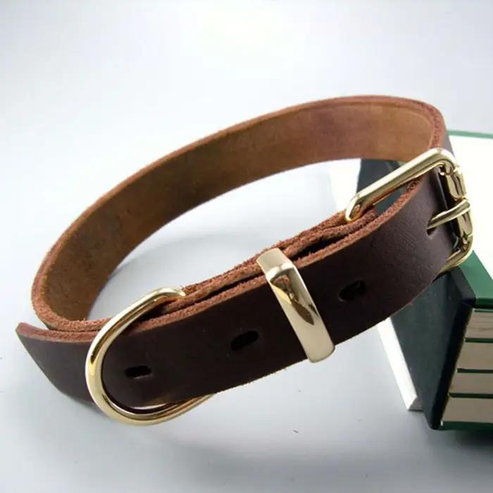Collier pour chien robuste et classique