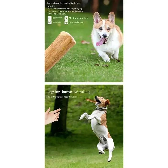 Jouets à mâcher en bois de café naturel pour chien