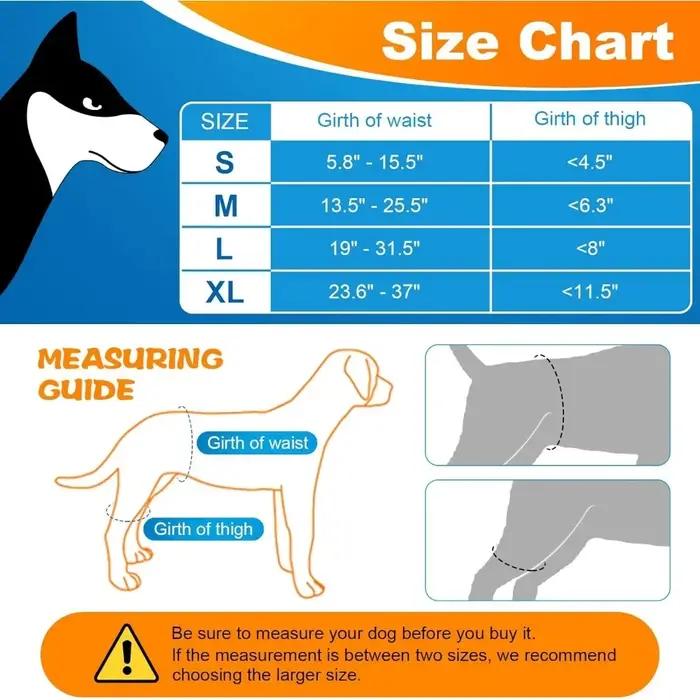 Orthèse orthopédique de hanche pour chien soulagement de douleur dysplasie de la hanche support pour chiens occaions spéciales